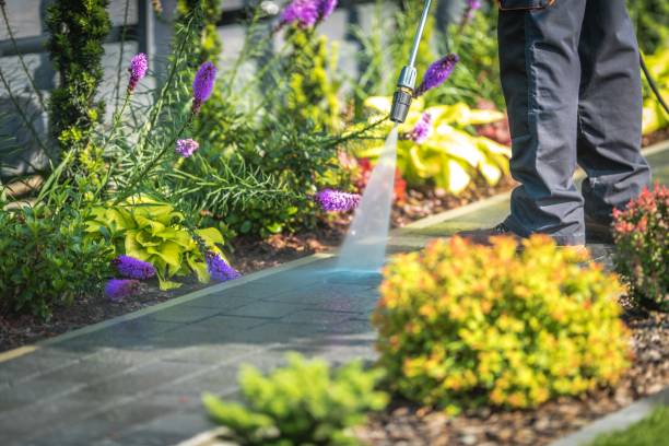 Best Pre-Holiday Cleaning  in Lake Morton Berrydale, WA